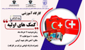 برگزاری کارگاه آموزشی کمک های اولیه( ویژه کارکنان)
